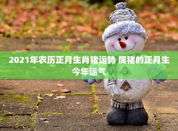 2021年农历正月生肖猪运势 属猪的正月生今年运气
