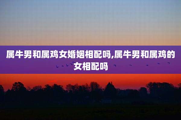 属牛男和属鸡女婚姻相配吗,属牛男和属鸡的女相配吗