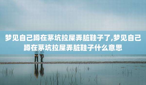 梦见自己蹲在茅坑拉屎弄脏鞋子了,梦见自己蹲在茅坑拉屎弄脏鞋子什么意思