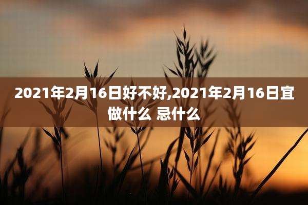 2021年2月16日好不好,2021年2月16日宜做什么 忌什么