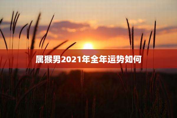 属猴男2021年全年运势如何