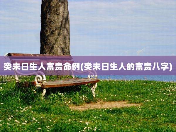癸未日生人富贵命例(癸未日生人的富贵八字)