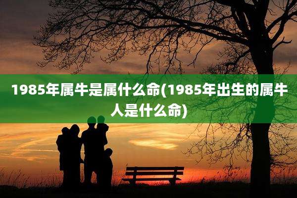 1985年属牛是属什么命(1985年出生的属牛人是什么命)
