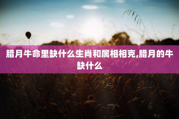 腊月牛命里缺什么生肖和属相相克,腊月的牛缺什么