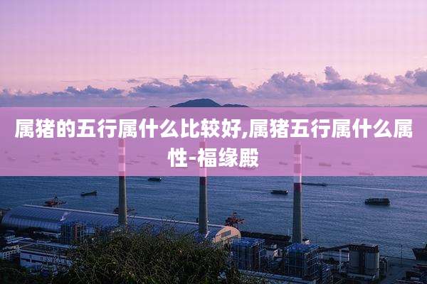属猪的五行属什么比较好,属猪五行属什么属性-福缘殿
