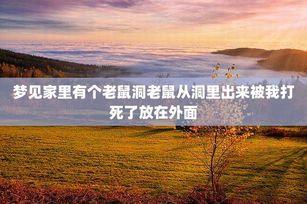 梦见家里有个老鼠洞老鼠从洞里出来被我打死了放在外面