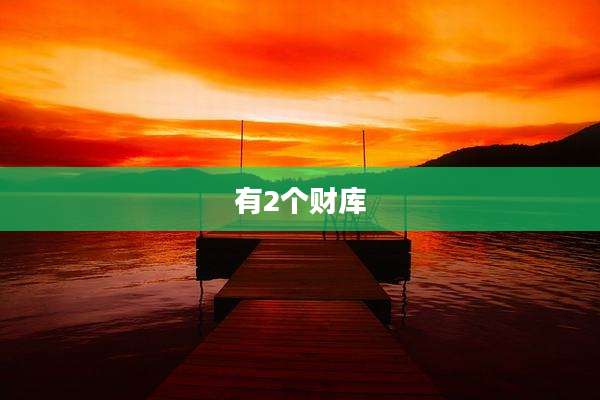 有2个财库