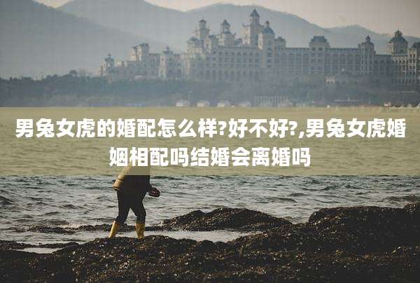 男兔女虎的婚配怎么样?好不好?,男兔女虎婚姻相配吗结婚会离婚吗