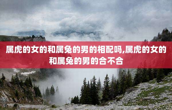属虎的女的和属兔的男的相配吗,属虎的女的和属兔的男的合不合