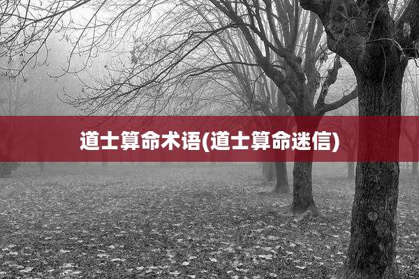 道士算命术语(道士算命迷信)