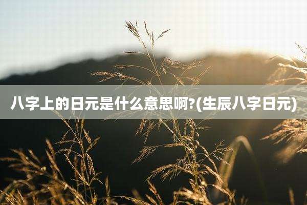 八字上的日元是什么意思啊?(生辰八字日元)