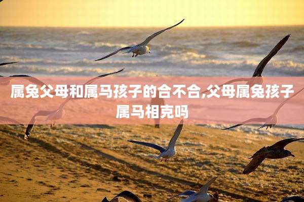 属兔父母和属马孩子的合不合,父母属兔孩子属马相克吗