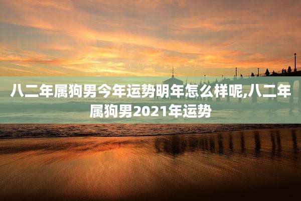 八二年属狗男今年运势明年怎么样呢,八二年属狗男2021年运势