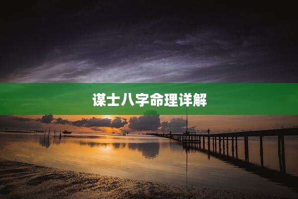 谋士八字命理详解