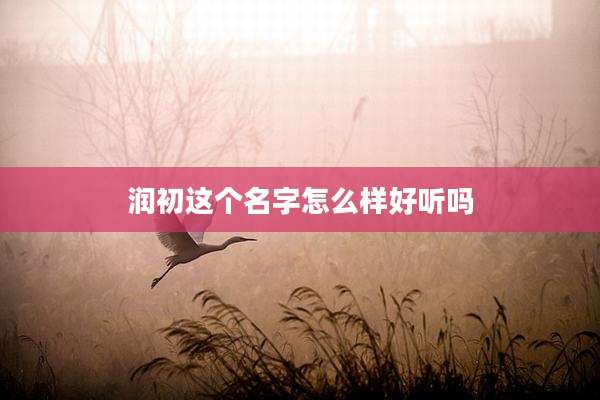 润初这个名字怎么样好听吗