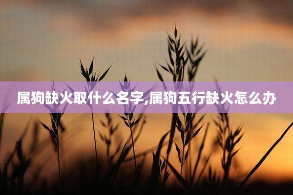 属狗缺火取什么名字,属狗五行缺火怎么办