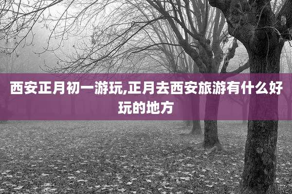 西安正月初一游玩,正月去西安旅游有什么好玩的地方