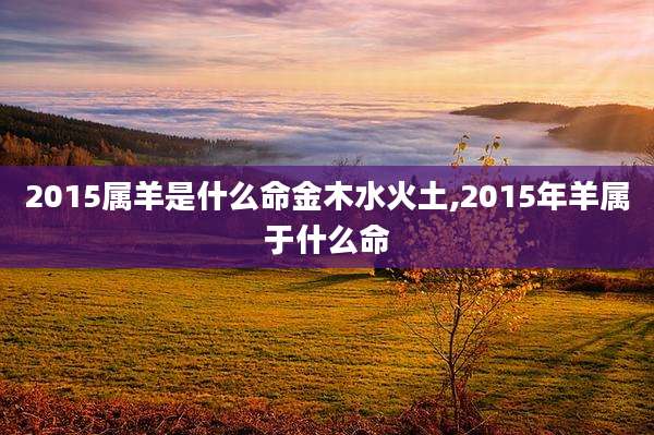 2015属羊是什么命金木水火土,2015年羊属于什么命
