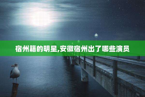 宿州籍的明星,安徽宿州出了哪些演员