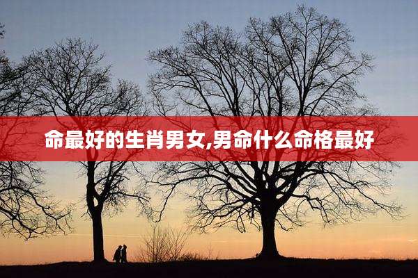 命最好的生肖男女,男命什么命格最好
