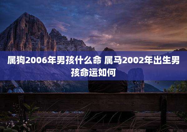 属狗2006年男孩什么命 属马2002年出生男孩命运如何