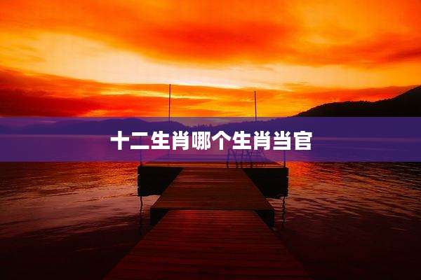 十二生肖哪个生肖当官