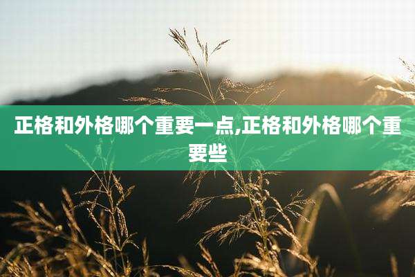 正格和外格哪个重要一点,正格和外格哪个重要些