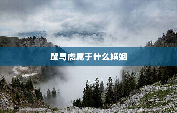 鼠与虎属于什么婚姻
