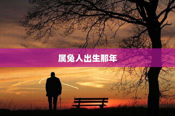 属兔人出生那年