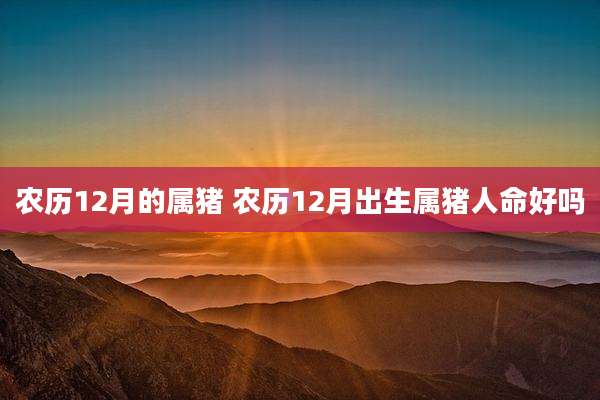 农历12月的属猪 农历12月出生属猪人命好吗