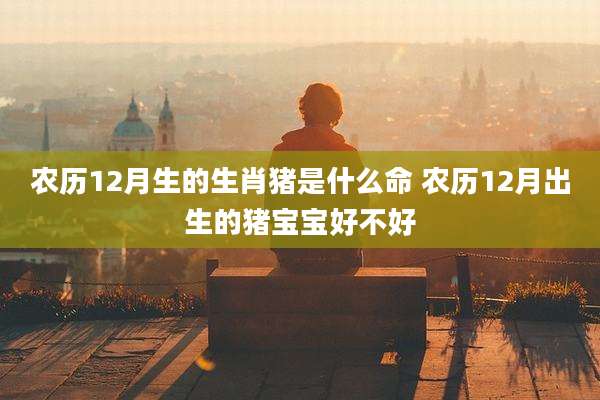 农历12月生的生肖猪是什么命 农历12月出生的猪宝宝好不好