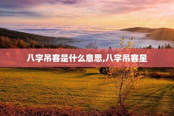 八字吊客是什么意思,八字吊客星