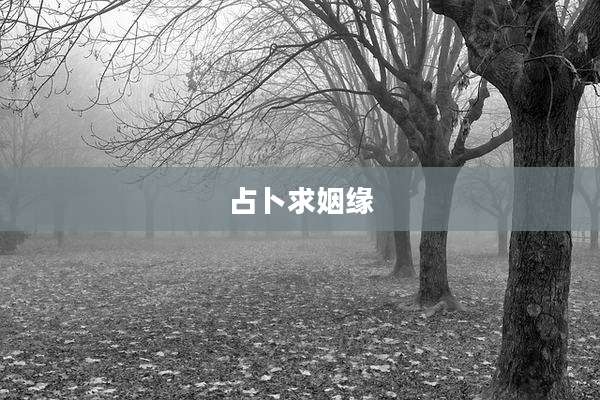 占卜求姻缘