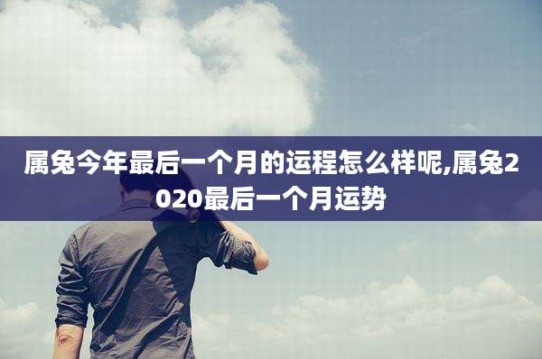 属兔今年最后一个月的运程怎么样呢,属兔2020最后一个月运势