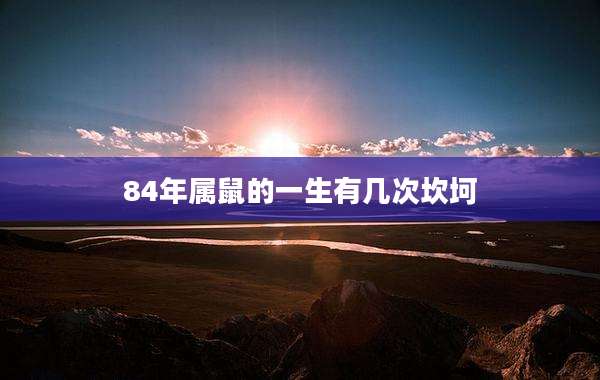 84年属鼠的一生有几次坎坷