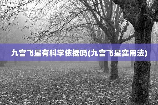 九宫飞星有科学依据吗(九宫飞星实用法)