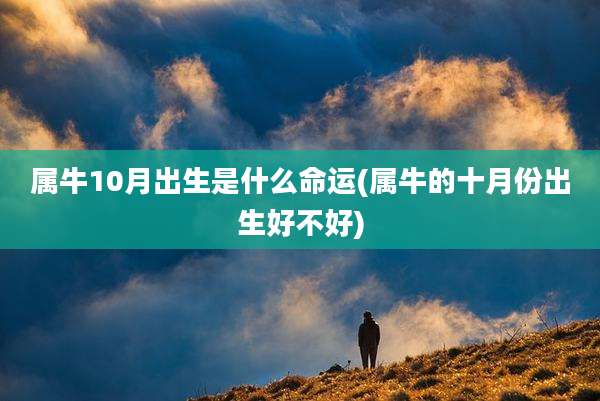 属牛10月出生是什么命运(属牛的十月份出生好不好)