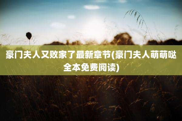 豪门夫人又败家了最新章节(豪门夫人萌萌哒全本免费阅读)