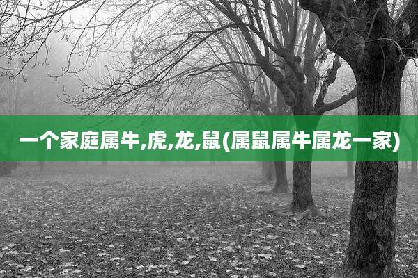 一个家庭属牛,虎,龙,鼠(属鼠属牛属龙一家)