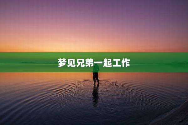 梦见兄弟一起工作