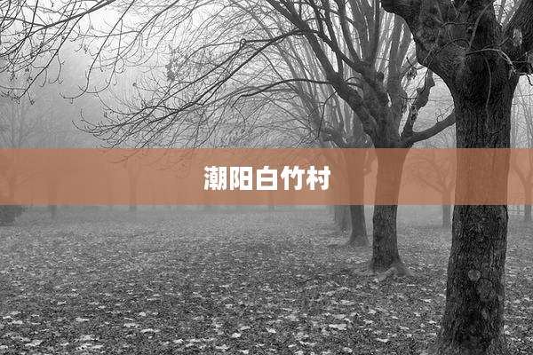 潮阳白竹村