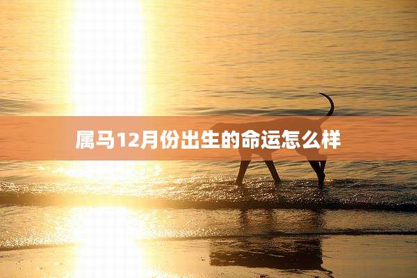 属马12月份出生的命运怎么样