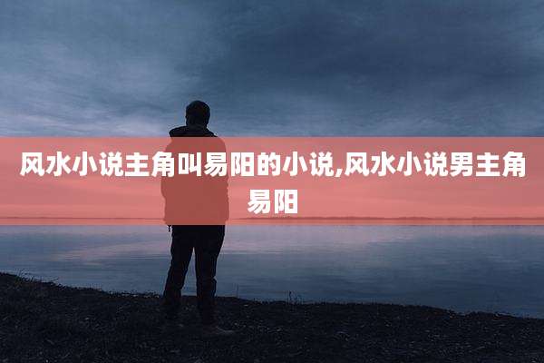 风水小说主角叫易阳的小说,风水小说男主角易阳