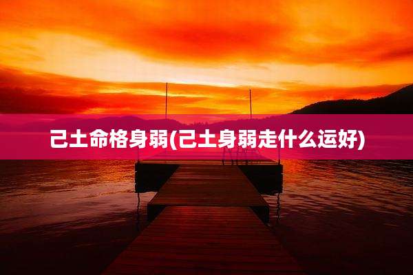 己土命格身弱(己土身弱走什么运好)