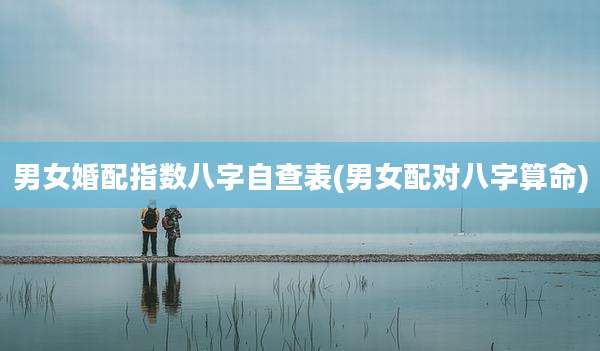 男女婚配指数八字自查表(男女配对八字算命)