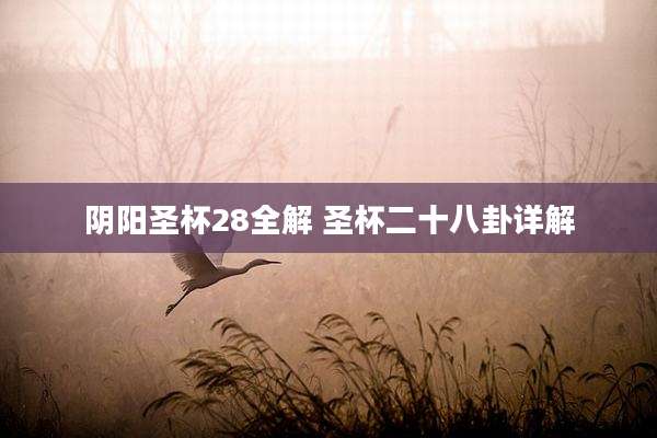 阴阳圣杯28全解 圣杯二十八卦详解