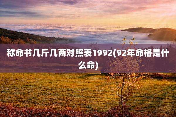 称命书几斤几两对照表1992(92年命格是什么命)