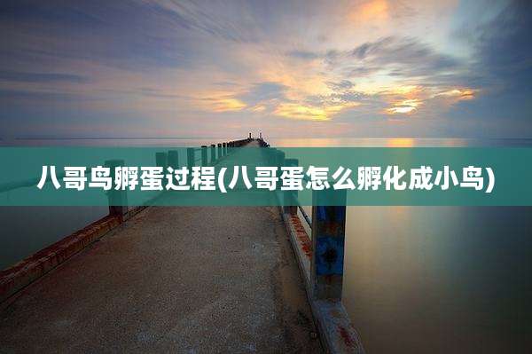 八哥鸟孵蛋过程(八哥蛋怎么孵化成小鸟)