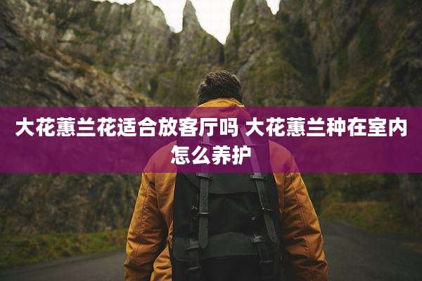 大花蕙兰花适合放客厅吗 大花蕙兰种在室内怎么养护