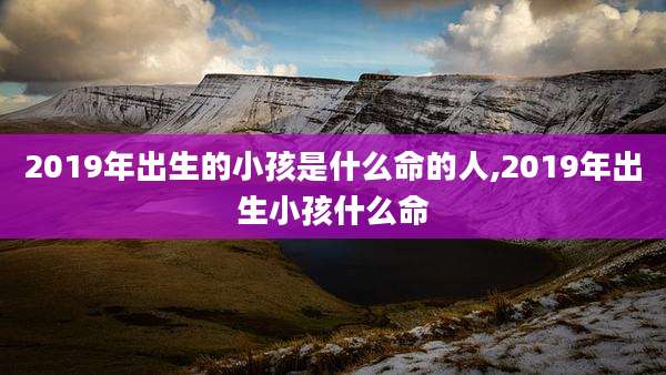 2019年出生的小孩是什么命的人,2019年出生小孩什么命